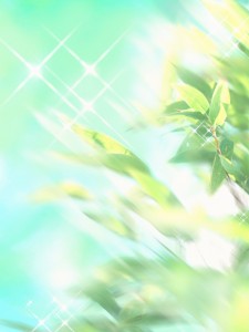 HJ005_72A