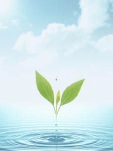 HJ066_72A