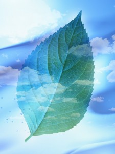 HJ059_72A
