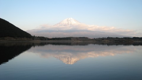 IMG_2499
