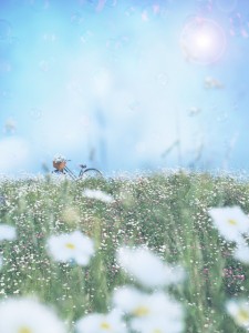 HJ165_72A