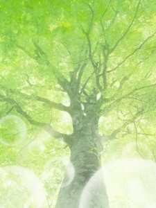 HJ048_72A