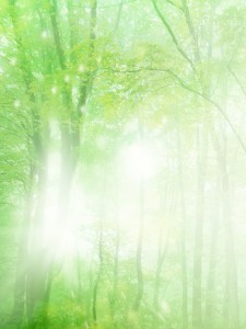 HJ046_72A